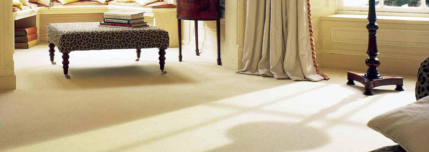 Plain Carpet Ranges